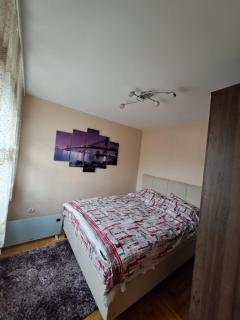 MAŠA Apartman Vrnjacka Banja - Vrnjačka Banja - 8