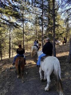New! Charming cozy Cabin Colorado National Forest - 7