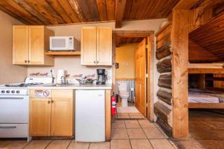 New! Charming Cabin in Colorado National Forest - 4