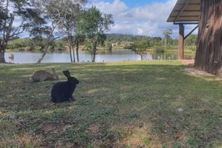 Cabana no alto do morro - Nova Petrópolis - 6