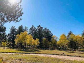 New! Historic 1906 cabin in Colorado Natl Forest - 1