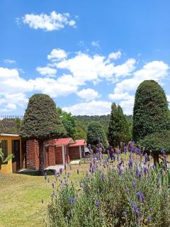 Finca Marix, Villa del Carbón - Villa del Carbón - 9