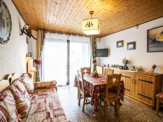 Appartement cosy 5 pers., parking privatif, proche centre et remontées, Châtel - FR-1-676-4 - 9