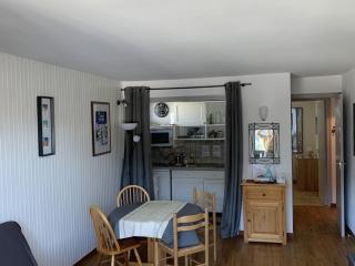 Appartement au Cœur de Châtel, 5 Pers, 2 Pièces, Balcon, 100m des Remontées mécaniques - FR-1-676-11 - Châtel - 7