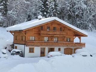 Chalet 4* pour 15 pers. avec jacuzzi, balcon et poêle à bois, proche du télécabine du Linga et Super-Châtel - FR-1-676-26 - 4