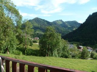 Charmant T3 à Châtel avec balcon, proche centre et remontées mécaniques, 6 personnes - FR-1-676-10 - Châtel - 3