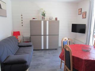 Studio cosy pour 4 pers. avec balcon, à 100m des remontées mécaniques du Linga, offre WiFi et TV - FR-1-676-15 - Châtel - 0