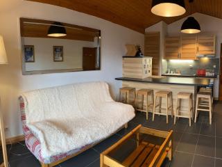 Chalet chaleureux à Châtel - Idéal 6 pers, 3 pièces, proche télésiège, WIFI, balcon sud, garage - FR-1-676-21 - Châtel - 5