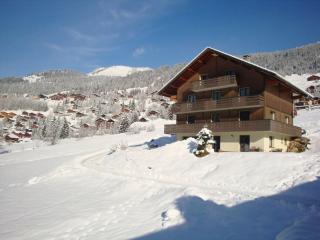 Châlet cosy à Châtel: Terrasse, 2 pièces pour 3 pers., proche centre et remontées mécaniques - FR-1-676-2 - Châtel - 4