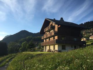 Châlet cosy à Châtel: Terrasse, 2 pièces pour 3 pers., proche centre et remontées mécaniques - FR-1-676-2 - Châtel - 3