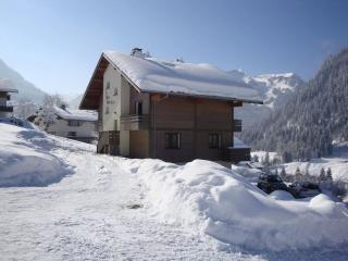 Chalet cosy 2 pièces avec terrasse, 3 pers, parking, WiFi, animaux admis - FR-1-676-2 - 2