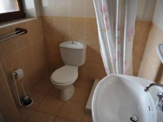 Appartement cosy 4 pers, 50m télécabine & centre, balcon sud, parking, animaux ok - FR-1-676-95 - Châtel - 6