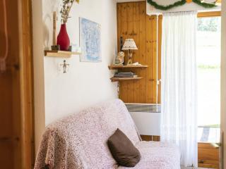 Appartement confortable à Châtel, 3 pièces, pour 5 personnes - FR-1-676-174 - 9