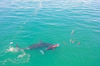 Gasteria Cottage - Mossel Bay - 3