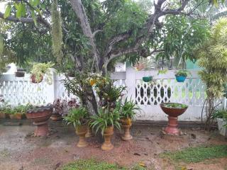 Ralph recedency - Kochchikade - 0