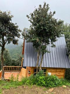 Snovika ( The Organic Farms ) - Bhīm Tāl - 6