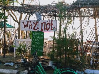 Why Not Bar And Bungalows #2 - 9