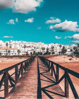El Gato Gris - Conil de la Frontera - 8