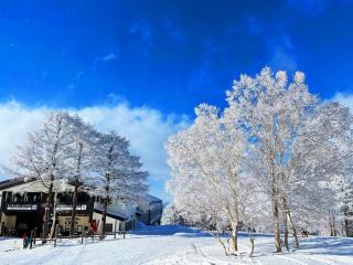 nozawasnow - Nozawa Onsen - 7