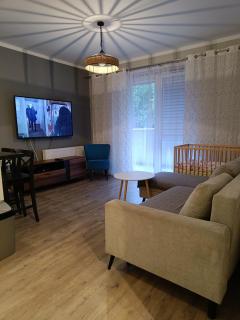 Uroczy Apartament z Garażem - 4