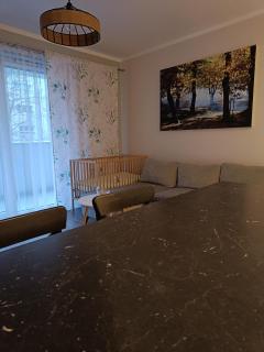 Uroczy Apartament z Garażem - 2