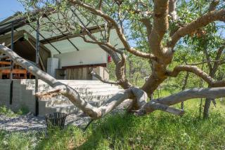 Etosha Safari Camping2Go - 9
