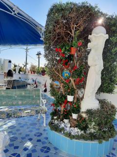 Casa Vacanza Villa Lesto - Ischia - 7