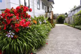 Hidden Gem for business traveller's - Tauranga - 9