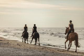 ApartView Porto Łeba by Rent like home - Łeba - 1