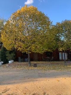 Cabanya en plena natura - 5