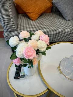 Homstay Vinhomes Ocean Park - 2