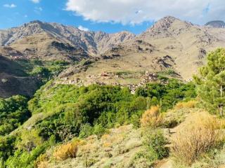 Riad imNane Lodge - Tamguist - 5