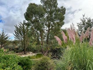 EL REFUGIO Archidona - Malaga - 7