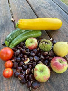 Haus am Kastanienwald - 9