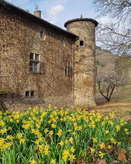 Château de Villars - - 4