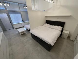 Krásny byt - veľký apartmán v blízkosti centra - Bratislava - 4