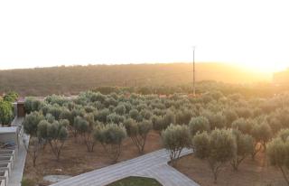 Villa Tizra - guest house - Aïn el Ksob - 9