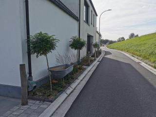 ScraB&Ble Ecologische gastenkamers - Bornem - 8