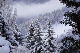 Serre chevalier,Chantemerle,T2 proche pistes - 5