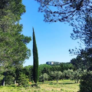 Cabane de la leque - Fontvieille - 3