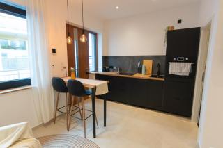 Goldstadt Apartments Pforzheim - Pforzheim - 4