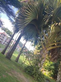 Appartement 2 à 6 personnes dans un magnifique complexe de Vacances à Sainte-Luce - Sainte-Luce - 5