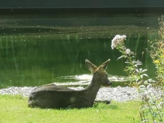 ScraB&Ble Ecologische gastenkamers - 1