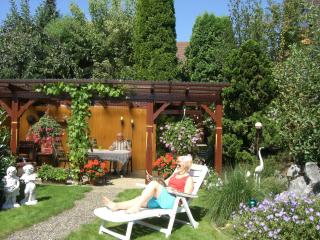 Haus Gerlinde - Zell am Harmersbach - 2