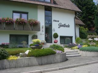 Haus Gerlinde - Zell am Harmersbach - 8