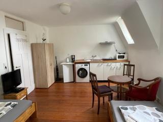 Studio Apartment Villa Seiz - 2