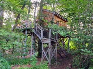 La Pat' de l'ours - Raon-aux-Bois - 0