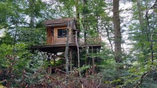 La Pat' de l'ours - Raon-aux-Bois - 8