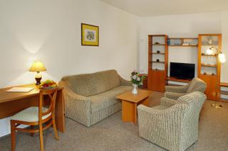 Spa Hotel Devin - Marienbad - 7