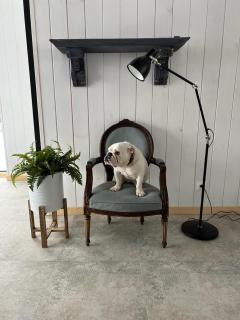 Szczurze wzgórze - 6